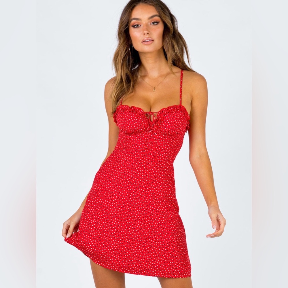 Love Birds Mini Dress in Red from Princess Polly size small/medium